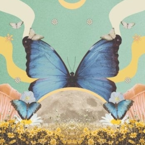 Moonology Messages Oracle Card Game - Picture 10 of 13